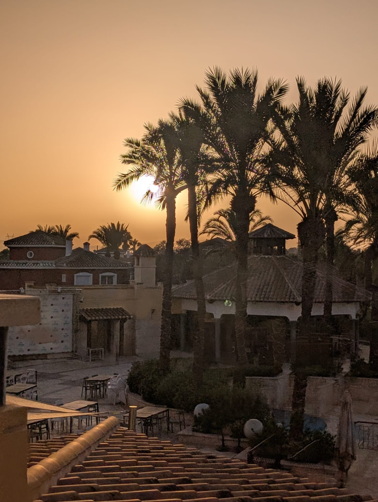Sonne hinter Palmen über den Dächern der Resortanlage